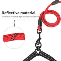 Correa Doble Para Perros De Alta Calidad En Nylon Con Absorción De Impacto Y Bolsas De Excremento Para Perros Grandes Correa Antideslizante Para Dos Perros - details 4