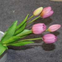 Lujosa Silicón Toque Real Tulipes Arreglo Floral Artificial Decorativo Para El Hogar Graduación Origina China Continental - details 8