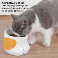 Cuenco levantado del gato (1x150ml), cuenco de cerámica del gato, comida formada pata ortopédica/cuenco del agua - details 2