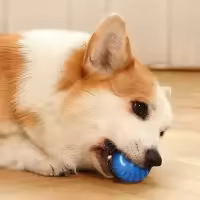 Bola De Juguete Para Perros Automática Moverse Saltando Rodar USB Inteligente Interactivo Chomp Para Puppies Material Plástico - details 4