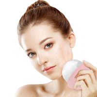 1pc Rodillo De Hielo Para Rostro Y Ojos Herramienta De Cuidado De La Piel Rodillo De Belleza Facial Molde De Hielo De Silicona - details 0