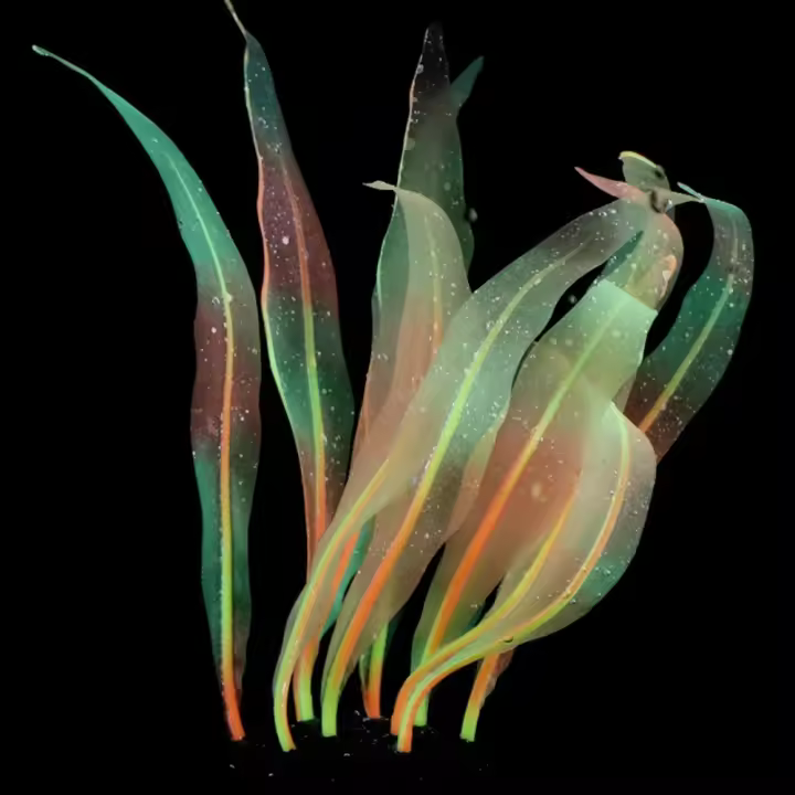 Nueva Joyería De Acuario Aquascape Coral Suave De Silicona Simulación Planta Fluorescente Fácil Limpieza Accesorios Para Tanque De Peces - 1