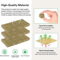 Cubes De Medio De Cultivo De Piedra Ponceada 100/50x Para Cultivo Hidroponico De Semillas Y Plantas Jardín Bloque De Semillero Cultivo Por Inmersión - details 2