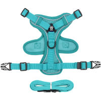 Juego De Correa Y Enjambre Para Gato Prueba De Fuga Ajustable Y Respirable Para Pequeños Y Medianos Perros Y Gatos Con Cuerda De Pecho Para Gatos Chicos - details 8