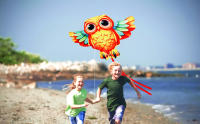 Nuevo Volo De Águila Juguete De Playa Para Niños Con Manija Y Cuerda Deportes Al Aire Libre Divertidos Y Seguros - details 0