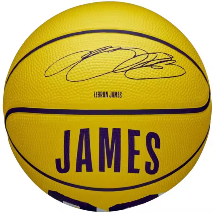 Wilson NBA Player Icon LeBron James Mini Ball Basketball WZ4027701XB ✅ Entrega 24/72h a España (península) - 1
