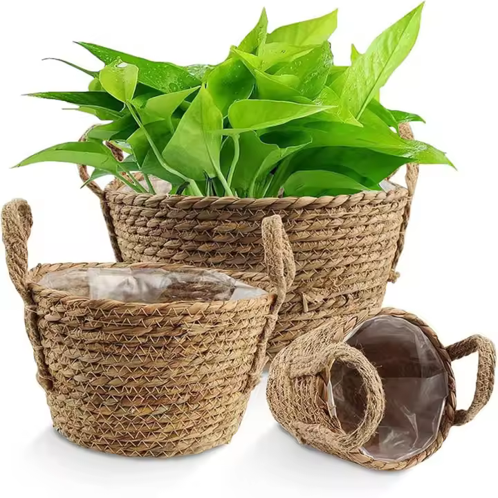 3 Puertos de Cestos de Flores de Algas with ASA y Foro de plástico-Sin Conter Plantas - 1