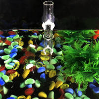 Acrylic Feeder Tube Dish Para Acuario Transparente Alimento Para Cangrejos Y Caracoles Accesorios De Alimentación De Acuario - details 13