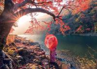 Educa Puzzle 1000 amanecer en el rio katsura Incluye Pegamento Fix Puzzle Educa 18455 - details 1