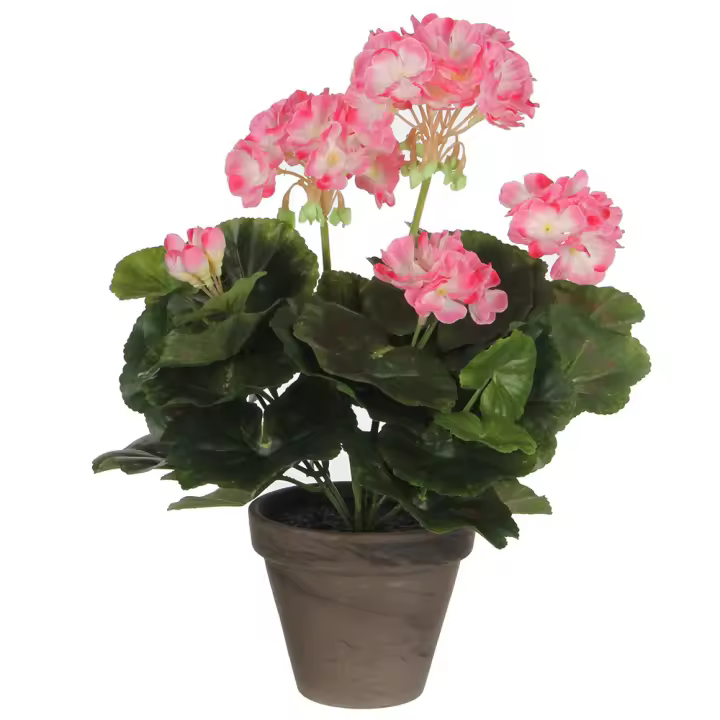 GERANIO COLOR BLANCO ROSADO DE PVC CON MACETA - 1