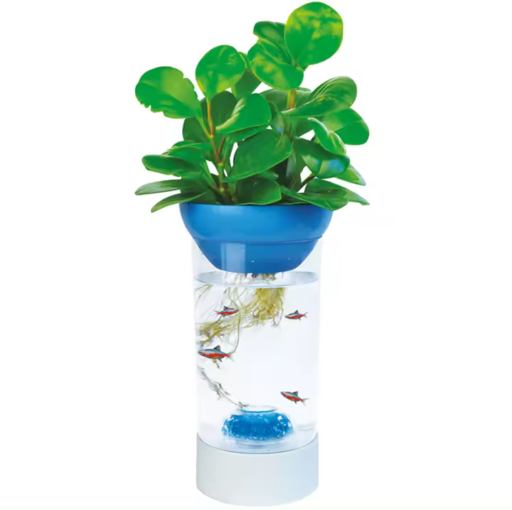 Kit Pecera Bettera Nature 1.2 L: Entorno Natural para Peces Betta - CPA - 1
