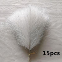 15pcs Bouquet De Pampas Artificial Para Decoración De Casamiento Y Fiestas DIY Flores De Planta Falsa Para Vaso Decorativo - details 6