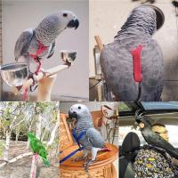 Correa De Entrenamiento Ajustable Para Papagayo Con Arnes Para Volar Al Aire Libre Fibras Resistentes Anti-Mordedura Para Adiestramiento De Pájaros - details 7
