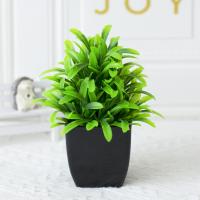 1pc Falsa Planta De Eucalipto Artificial En Maceta Negra Para Decoración De Interiores Oficina Farmacia Baño Estilo Rústico - details 6
