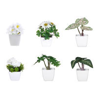 1SET De Plantas Simuladas En Maceta Para Decoración De Oficina Comercial Sala De Estar Estudio Courtyard Decoración Del Hogar Adecuado Para Mesas De Trabajo Y Espacios Comunes - details 15