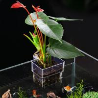 Soporte Para Plantas De Acuario Con Gancho Juego De 3 Piezas Cesta Para Plantas De Acuario Decoración Para Tanque De Peces Material ABS - details 1