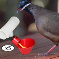 5Pcs Copas De Bebida Para Pollos Plásticas Dispensador Automático De Alimentos Para Pato Ganso Héroe Y Pollo Herramientas De Cría De Ganado - details 2
