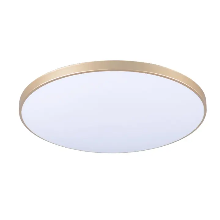 Thin three-proof ceiling light white light 32W-80W LED ceiling light for bedroom and living room SY - 1