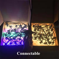 Luces De Cadena LED Globales Para Exteriores Con Bombillas De Plástico Impermeables Para Patio Jardín Trasero Y Porche 220V Con Enchufe De EU - details 5