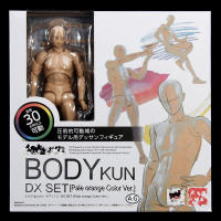 Figura De Acción Coleccionable PVC Gris Body Kun / Body Chan Alta Calidad Con Poses Juguetes Para Adultos Recomendado Para 14+ - details 6