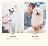Set De Tijeras Profesionales Para Peluquería De Mascotas Corte De Pelo Para Perros Poodle Teddy Kit De Peluquería De Perros Curvadas Y De Afinado - details 8