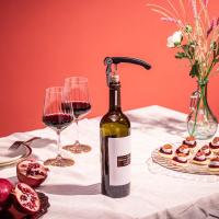Vacu Vin Set de vino Clásico ( 4 piezas), estuche regalo - details 2