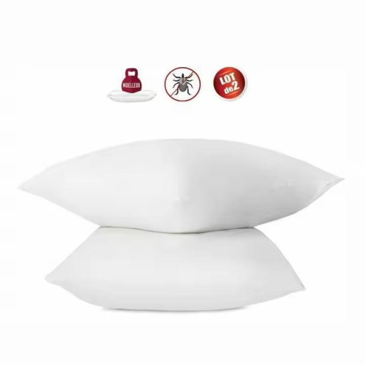 Set de 2 Almohadas Abeil 60 x 60 cm (2 Unidades) - 1