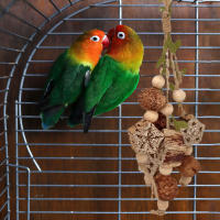 Juguete De Masticación Para Papagayos Periquitos Lovebirds Budgies Cacatúas Conures: Entrenamiento De Mordedura Percha De Tornillo Para Aves De Compaña - details 3
