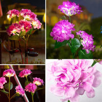 Lámpara Solar LED De 3 Cabezas Con Flor De Rosa Y Hibisco Para Jardín Patio Decoración De Casa Rústica Iluminación Exterior Para Verduras Y Frutas - details 4