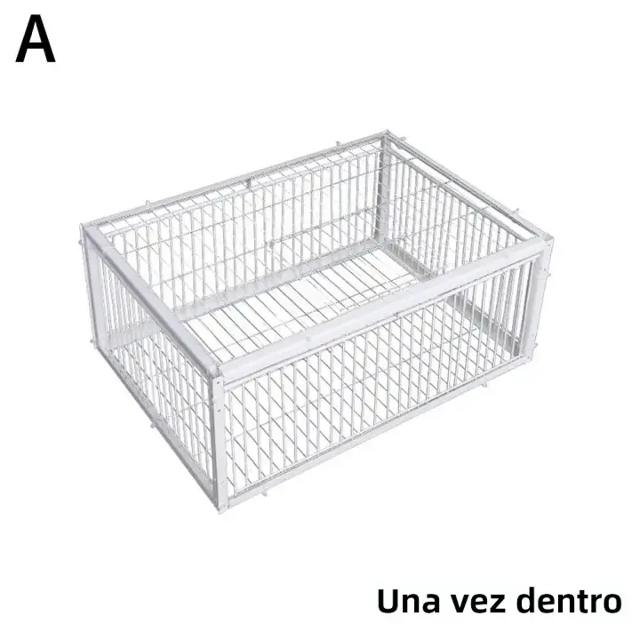 Cage Automática Para Pájaros Coche De Ratón Con Entrada Sola Sin Salida Cages De Almacenamiento Portátil De Hierro Reforzado Para Pigeons - 1