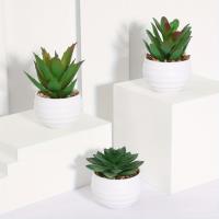 XIYA FLOWER Suculentas De Aloe Vera Artificiales En Estilo Moderno Con Maceta De Plástico Blanco Para Decoración Del Hogar Material PE - details 10