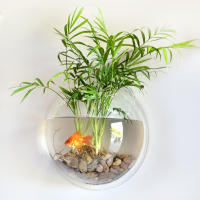 Acuario De Acrílico Colgante Para Peces Decorativo Contenedor Para Pared Con Material De Plástico De Marca WALFRONT - details 7