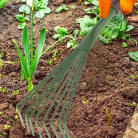 Rake De Jardín Con 9 Dientes Y Mango Cómodo 15.5 Pulgadas Herramienta De Limpieza Y Riego Para Hierba Y Excremento De Animales Domésticos - details 1