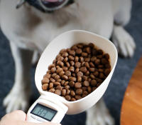 Cuchara De Medir Alimentos Para Mascotas Electrónica Digital 250ml Para Perros Y Gatos Control De Alimentación Cocina - details 0