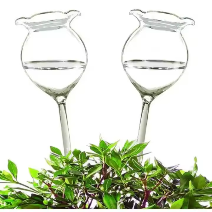 2PCS Pitillo De Riego Automático De Vidrio Transparente Para Plantas Dispositivo De Riego Manual Con Bola De Riego - 1