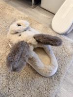Zapatillas estar por casa mujer  invierno,Pantuflas de perrito - Zapatillas de Felpa peludas Transpirables Zapatillas Divertidas Suela Antideslizante - Pantuflas cálidas y cómodas para Interiores para Mujeres y niñas 36-41 - details 3