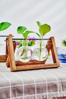 Jarrón De Vidrio Para Plantas En Escritorio Estación De Propagación Hidroponía Con Soporte De Madera Terrario Juego De Flores Estilo Americano Y Art Decó - details 1