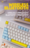 Teclado Mecánico ZIYOULANG K96 Con 100 Teclas Switch Rojo Modo Dual Inalámbrico BT5.0/2.4G Interfaz USB Para Laptop Computadora 98 Layout Hot Swap - details 2