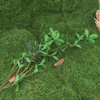 Planta Artificial De Ficus Con Ramas Largas 67/108CM Decoración Para Escenas Fotográficas Oficina Hogar Jardín Bodas - details 3
