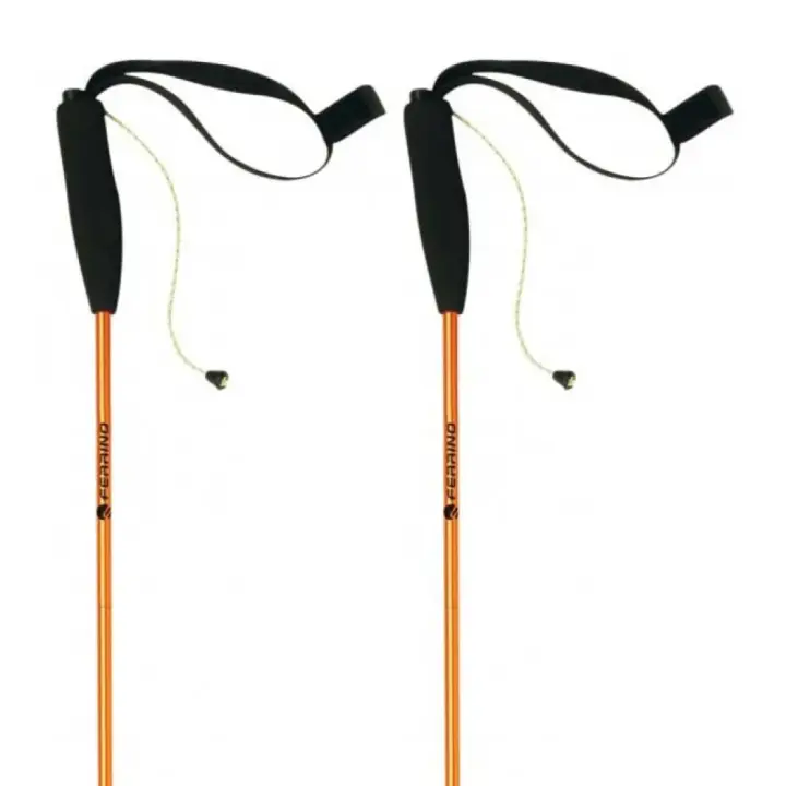 Material senderismo Bastones Ferrino Bastones Eiger Amarillo Unisex - 1