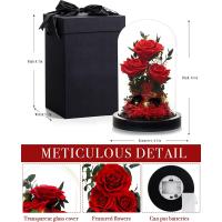 Rosa eterna real en cúpula de cristal, regalo ideal para cumpleaños, San Valentín, aniversario o Día de la Madre. - details 2