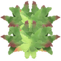 50 Pcs Artificial Torus Calyxes Receptacles Fabric Sepals Petals Para DIY Flores Plantas Cloth Rose Materials Fresh - details 0