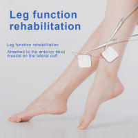 Dispositivo De Terapia De Baja Frecuencia 12 Modos Masaajeador Eléctrico Estimulador Muscular EMS Máquina TENS Con Apparatus De Miostimulación - details 13