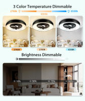 Aigostar- Ventilador Techo Alexa, Luz LED 40W, 4400LM, 2700K-6500K Regulable, Lampara Ventilador Techo Inteligente con Mando a Distancia y Gateway, Silencioso, 6 Velocidades, Diameter 50CM - details 5