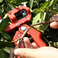 Juego De Tijeras De Enraizamiento Profesional Para Jardín Y Agricultura Corte De Frutas Arbolado Herramienta De Podar - details 6