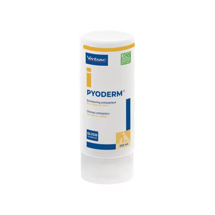 VIRBAC - Pyoderm (250 ml) - Champú Dermatológico Antiséptico para Perros y Gatos - 1