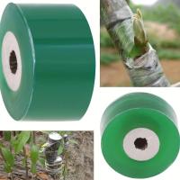 Cinta De Grafting PE Autoadhesiva Para Árboles Y Plantas En Jardín Film Elástico Para Vínculos De Tomates Y Esquejes - details 5