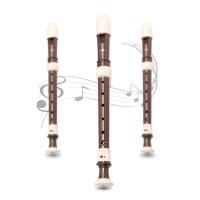 Clarinete De Barroco Treble Grabador Con Ocho Agujeros ABS Instrumento De Música De Viento Para Adultos Principiantes Práctica Removible - details 1