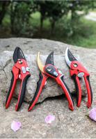 Tijeras De Podar De Acero Inoxidable Delixi SK5 Para Jardín Uso En Frutas Y Árboles Herramienta Universal Para Cortar Ramas Y Flores - details 13