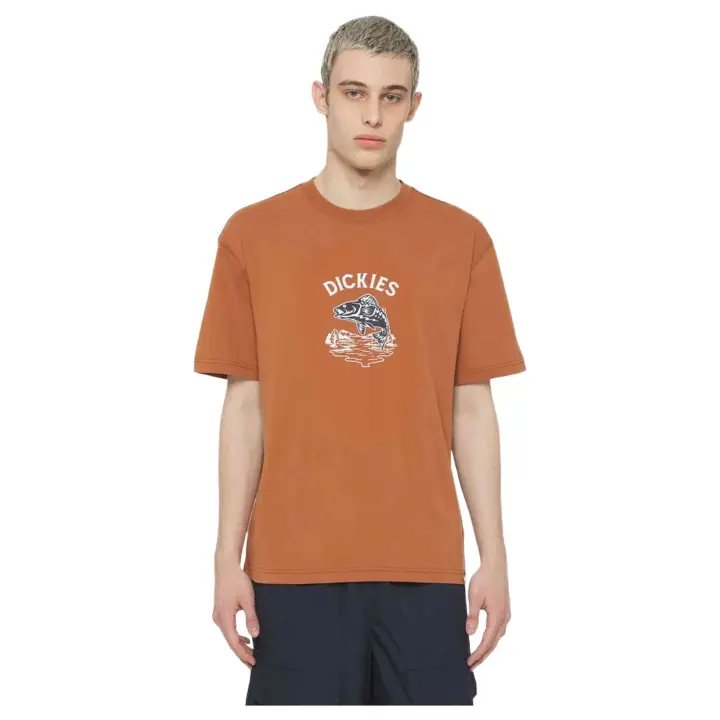 Textil Lifestyle marca Dickies modelo Dk0A4Yr8H161 para hombre en color naranja oscuro - 1